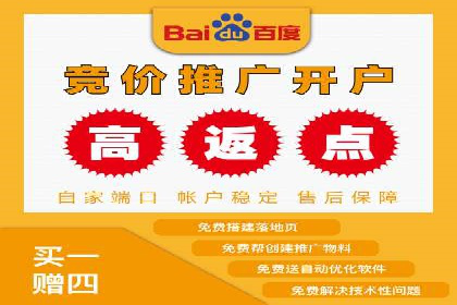 SEM托管实战：某电商平台的成功经验